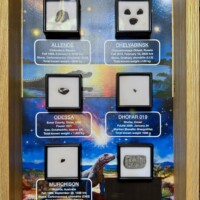 Collection of meteorite